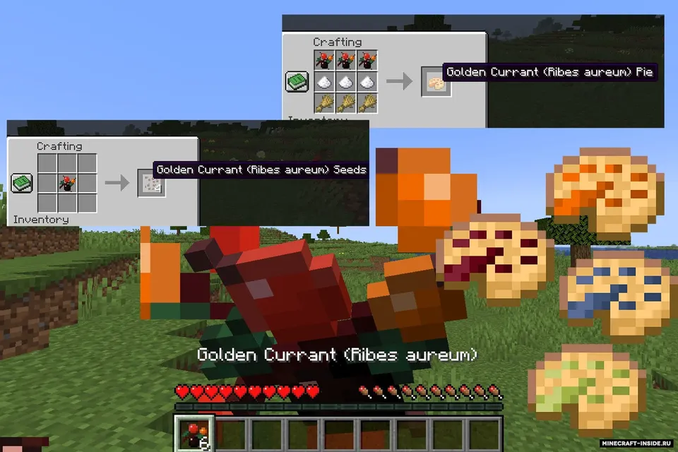 Ribes Adventures — Minecraft mod, rasm 5