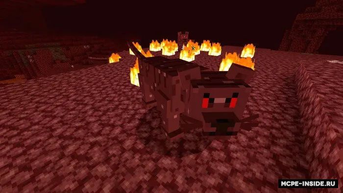 Do'zax mushuklari — Minecraft mod, rasm 1