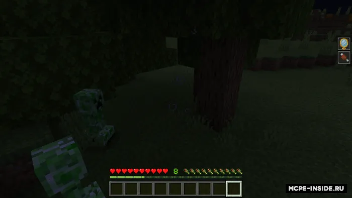 Yashirin rejim — Minecraft mod, rasm 3