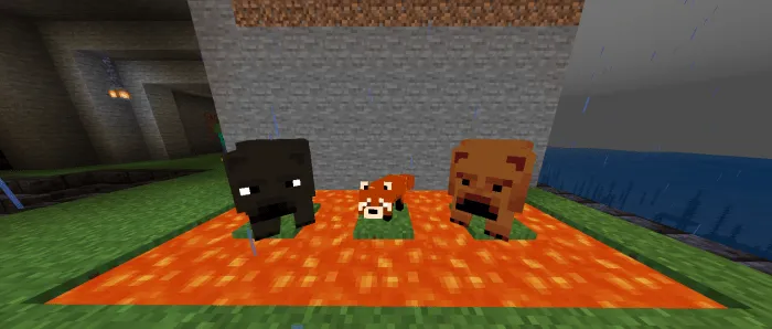 Ayiqlar+ — Minecraft mod, rasm 4