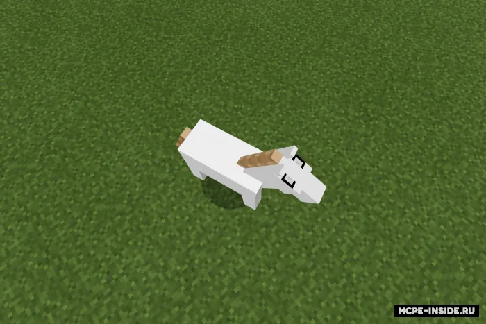 Uchar yakkashoxlar — Minecraft mod, rasm 2