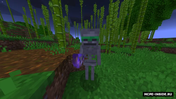 Ko'proq skeletlar — Minecraft mod, rasm 2