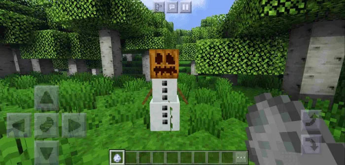 Yangi spawn tuxumlari — Minecraft mod, rasm 2