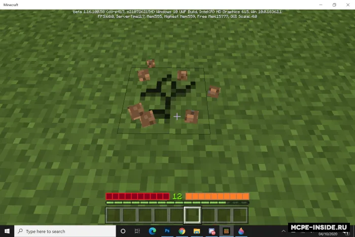 Tasodifiy rejim — Minecraft mod, rasm 1