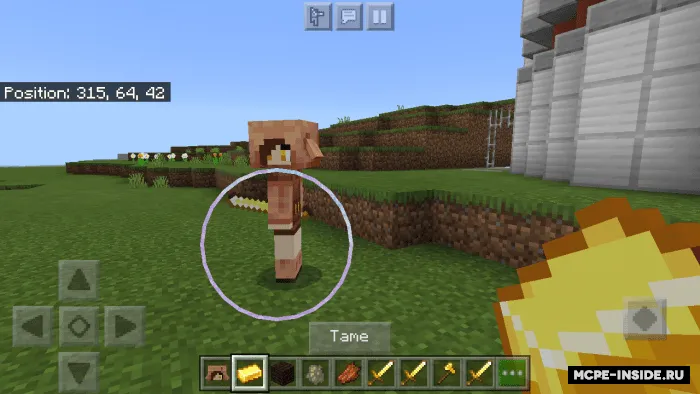 PiglinChan — Minecraft mod, rasm 4