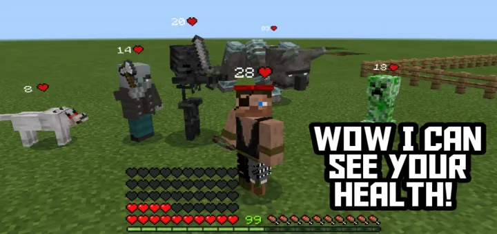 Salomatlik indikatori 2 — Minecraft mod, rasm 1