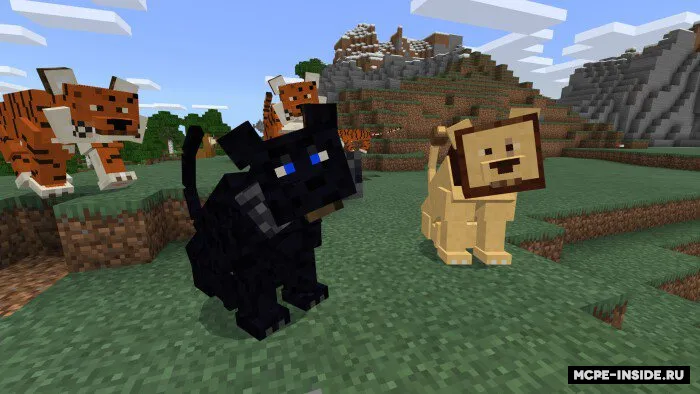 Katta mushuklar — Minecraft mod, rasm 1