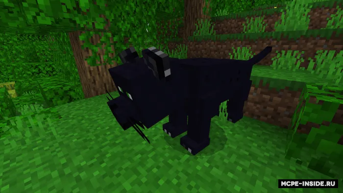 Katta mushuklar — Minecraft mod, rasm 2