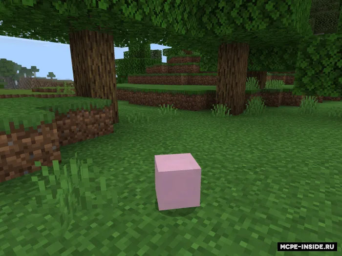 Slime+ — Minecraft mod, rasm 4