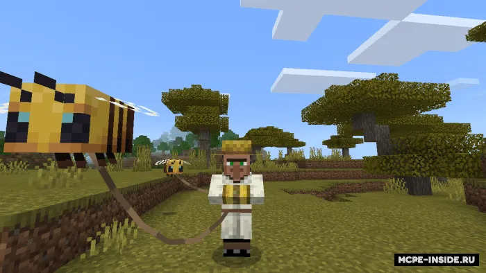 Asalarichi-sotuvchi — Minecraft mod, rasm 1