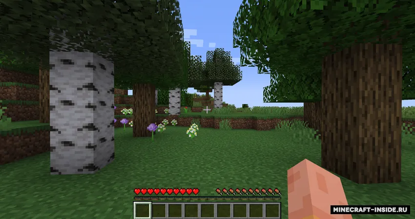 Staminaz — Minecraft mod, rasm 2