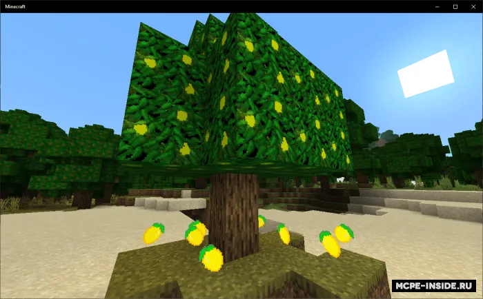 Ko'proq daraxtlar — Minecraft mod, rasm 3