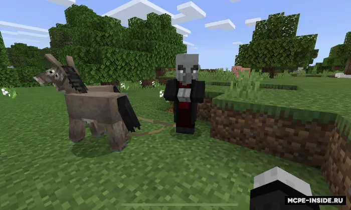 Sayoq yashovchi — Minecraft mod, rasm 1