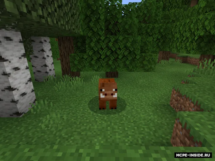 Moblar uchun ko'proq variantlar — Minecraft mod, rasm 3