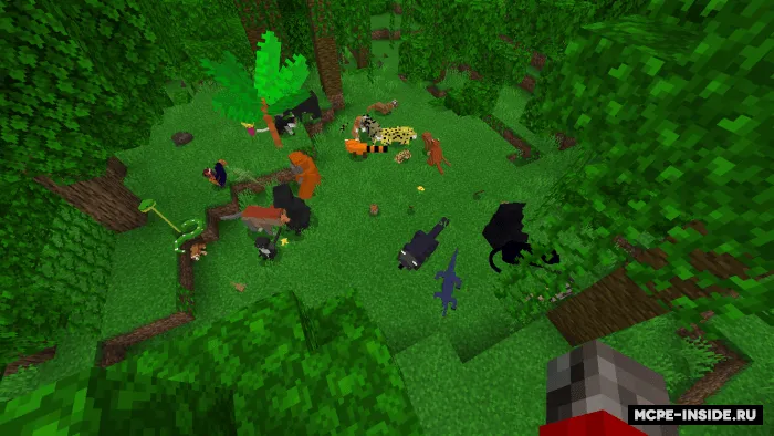 Shoxdan shoxga — Minecraft mod, rasm 1