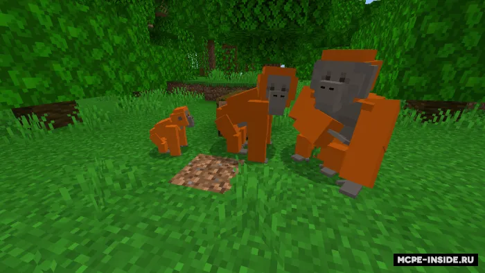 Shoxdan shoxga — Minecraft mod, rasm 3