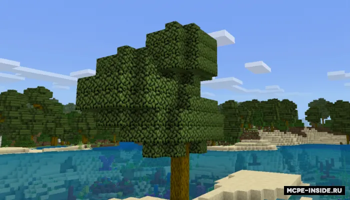 Sehrli ekspansiya — Minecraft mod, rasm 2