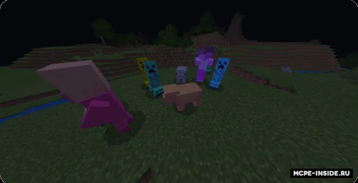 Moblar randomayzeri — Minecraft mod, rasm 1