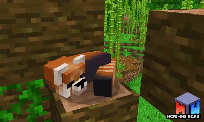 Qizil panda — Minecraft mod, rasm 2