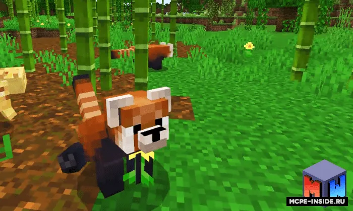 Qizil panda — Minecraft mod, rasm 3