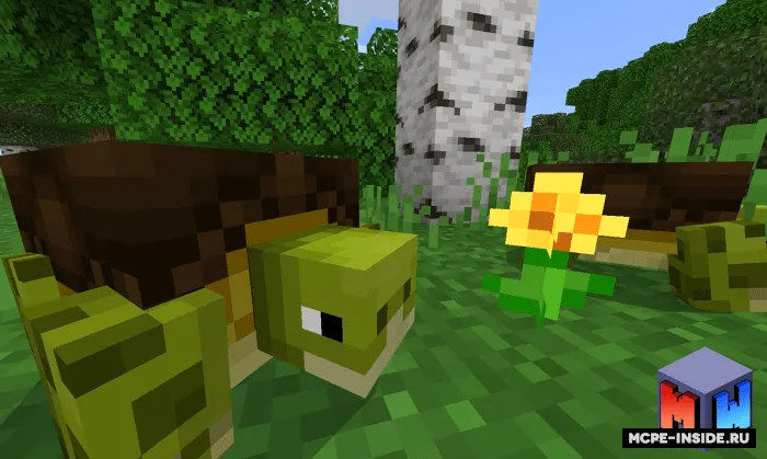 Toshbaqalar — Minecraft mod, rasm 1