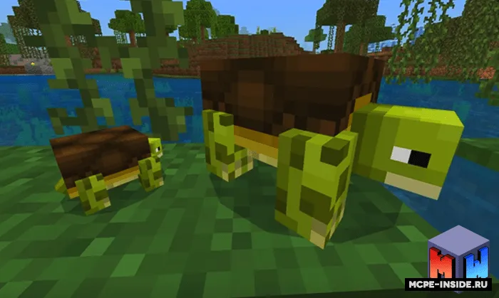 Toshbaqalar — Minecraft mod, rasm 2