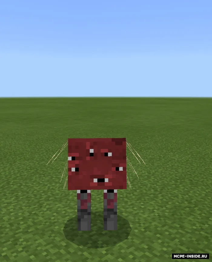 Ko'proq strays — Minecraft mod, rasm 4