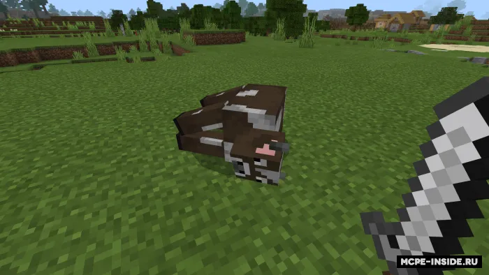 Qassoblik — Minecraft mod, rasm 2