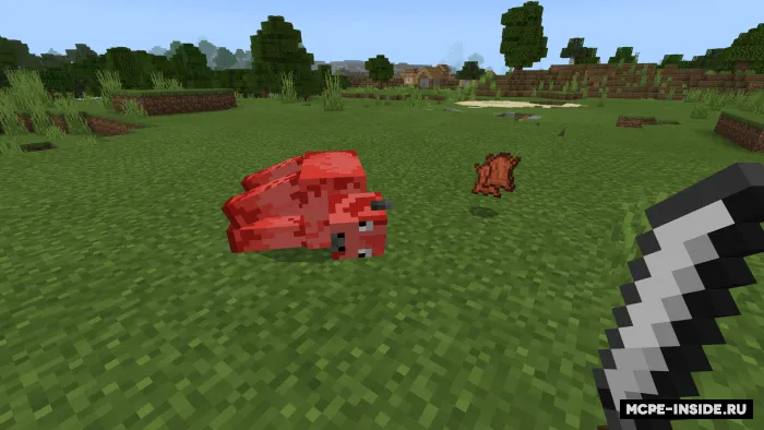 Qassoblik — Minecraft mod, rasm 3