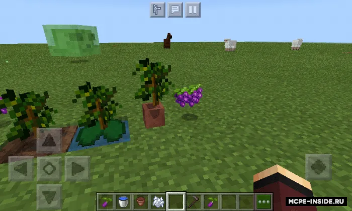 Foydali o'simliklar — Minecraft mod, rasm 4