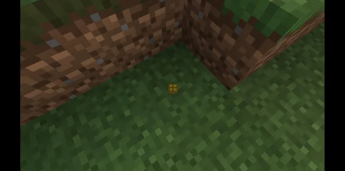 Quruqlik toshbaqalari — Minecraft mod, rasm 3
