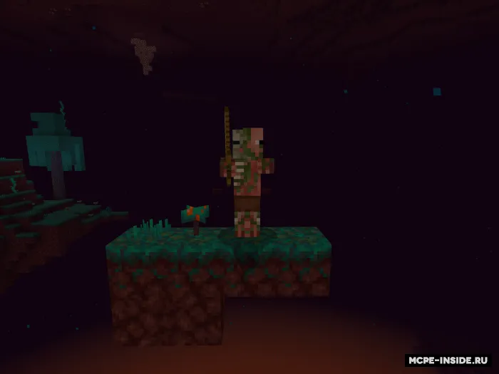Zombi cho'chqa — Minecraft mod, rasm 3