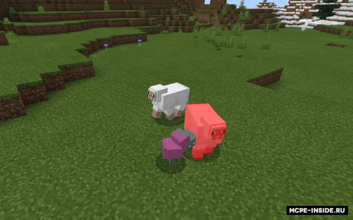 Yirtqich tovuqlar — Minecraft mod, rasm 2