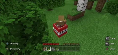 To'xtama!