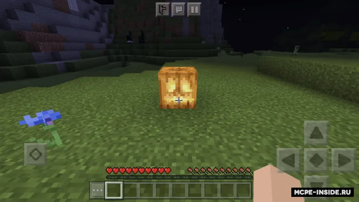 Boshqa zulmat — Minecraft mod, rasm 1