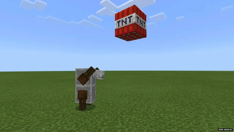 Dinamit iter — Minecraft mod, rasm 2