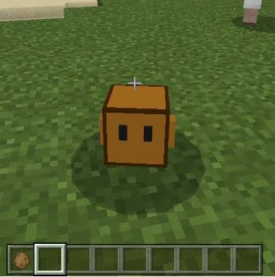 Kvadinlar — Minecraft mod, rasm 1