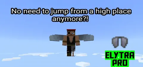 Elytra Pro