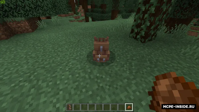 Ryukzaklar — Minecraft mod, rasm 1