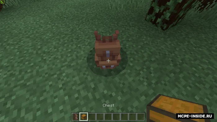 Ryukzaklar — Minecraft mod, rasm 2