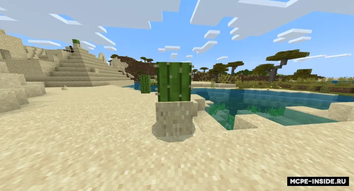 Cho'l maxluqlari — Minecraft mod, rasm 3
