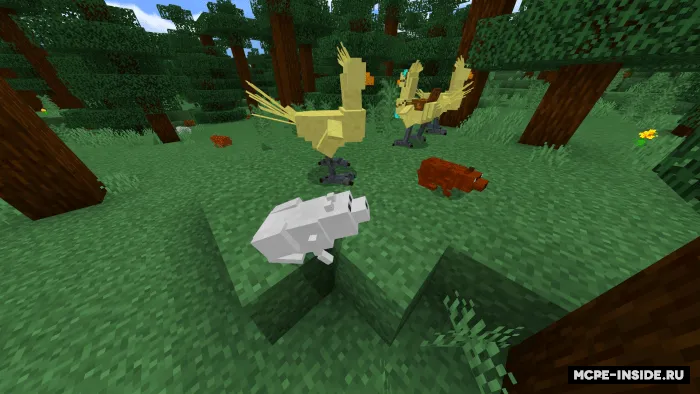 Chokobo va homiylar — Minecraft mod, rasm 1