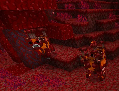 Nozik olamdagi qo'ziqorin-sigirlar — Minecraft mod, rasm 1