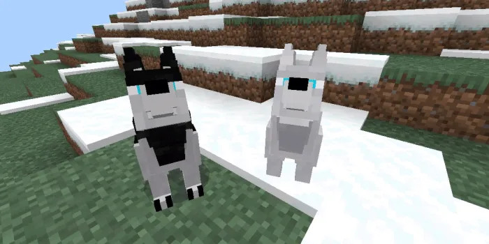 Uy hayvonlari — Minecraft mod, rasm 2