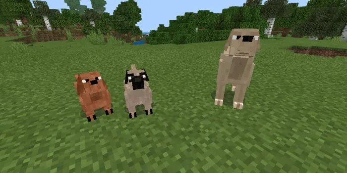 Uy hayvonlari — Minecraft mod, rasm 3