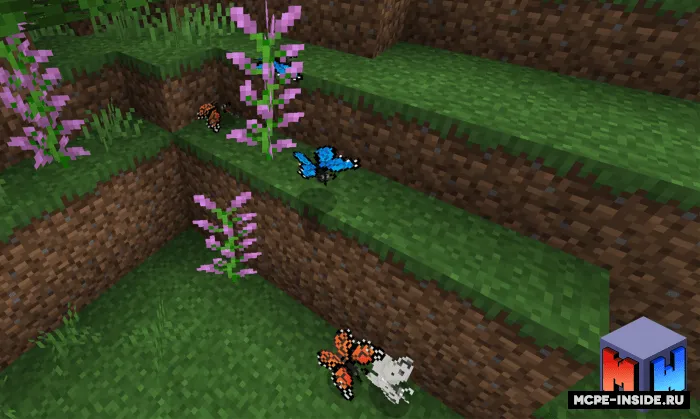Kapalaklar — Minecraft mod, rasm 3