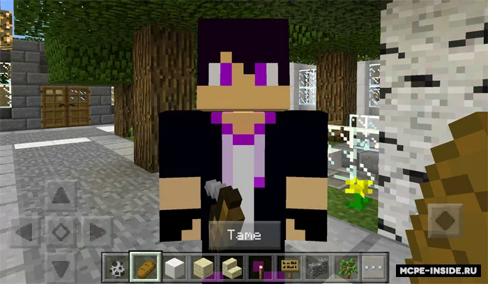 Ender do'st — Minecraft mod, rasm 2