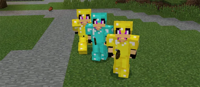 Ender do'st — Minecraft mod, rasm 3