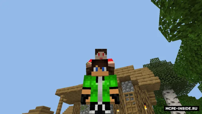 NPC Do'st — Minecraft mod, rasm 3