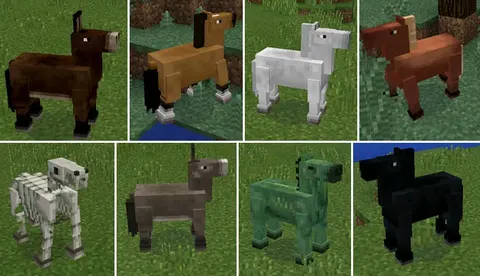 Horses